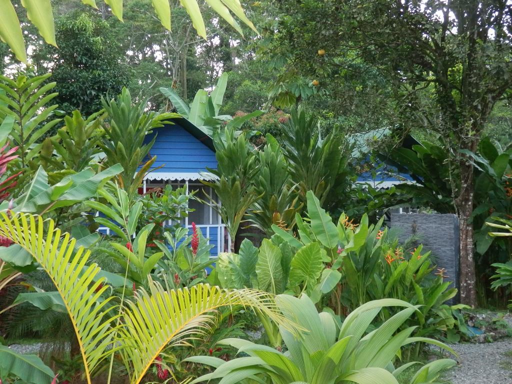 Hotel Casitas Mar Y Luz Puerto Viejo de Talamanca Екстер'єр фото