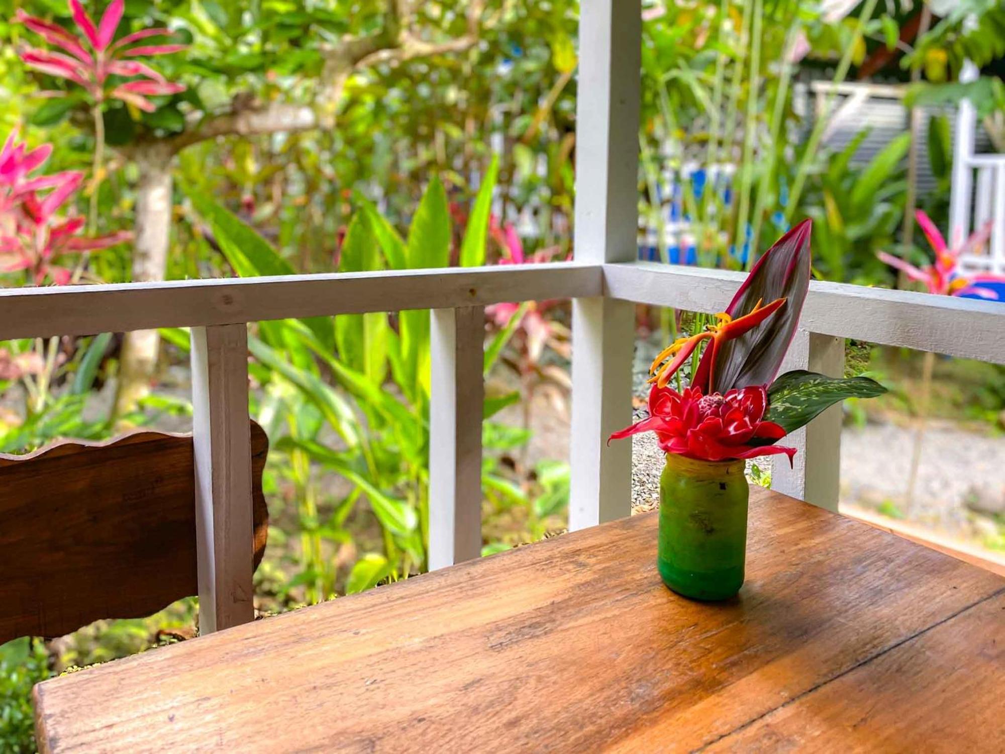 Hotel Casitas Mar Y Luz Puerto Viejo de Talamanca Номер фото