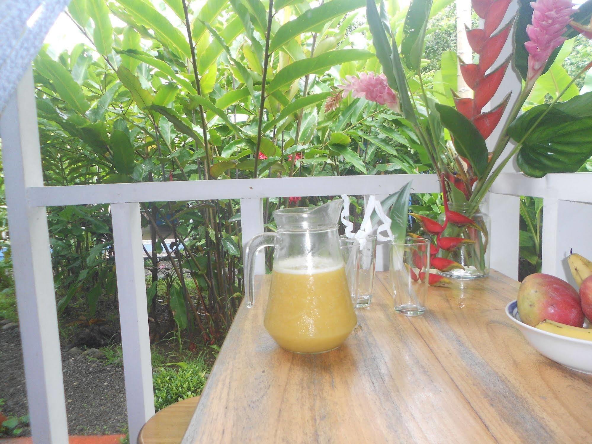 Hotel Casitas Mar Y Luz Puerto Viejo de Talamanca Екстер'єр фото